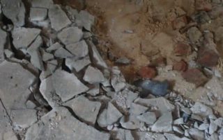 WhatsApp Image 2019-08-22 at 12.24.01