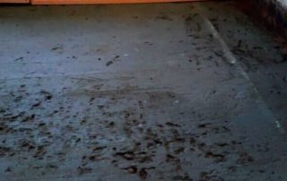 WhatsApp Image 2019-08-26 at 14.19.39