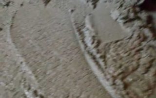 WhatsApp Image 2019-08-28 at 14.59.52