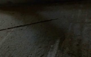 WhatsApp Image 2019-08-29 at 11.01.00